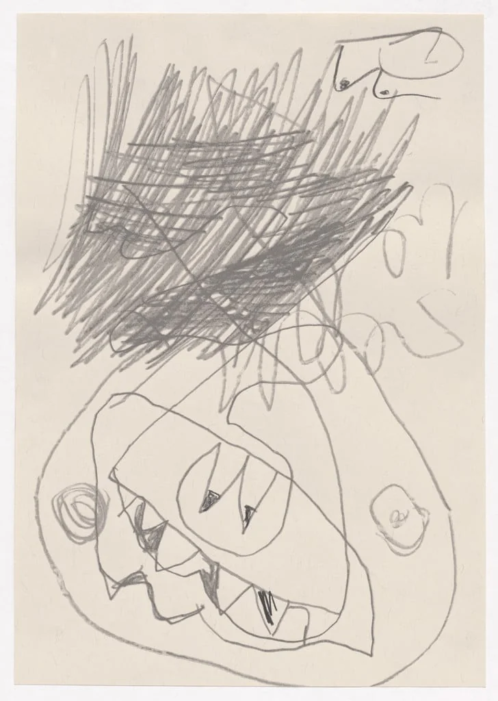 Untitled, by Joe Bradley, graphite, 2009