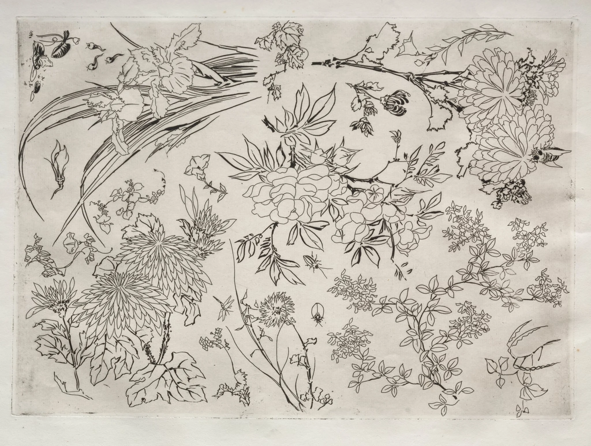 Dinner Service (Rousseau service): Flowers (no. 23), by Félix Bracquemond, 1866
