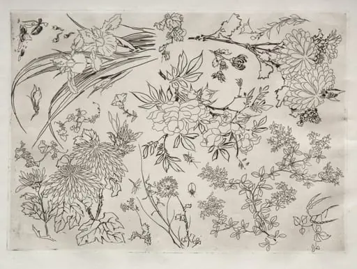 Dinner Service (Rousseau service): Flowers (no. 23)