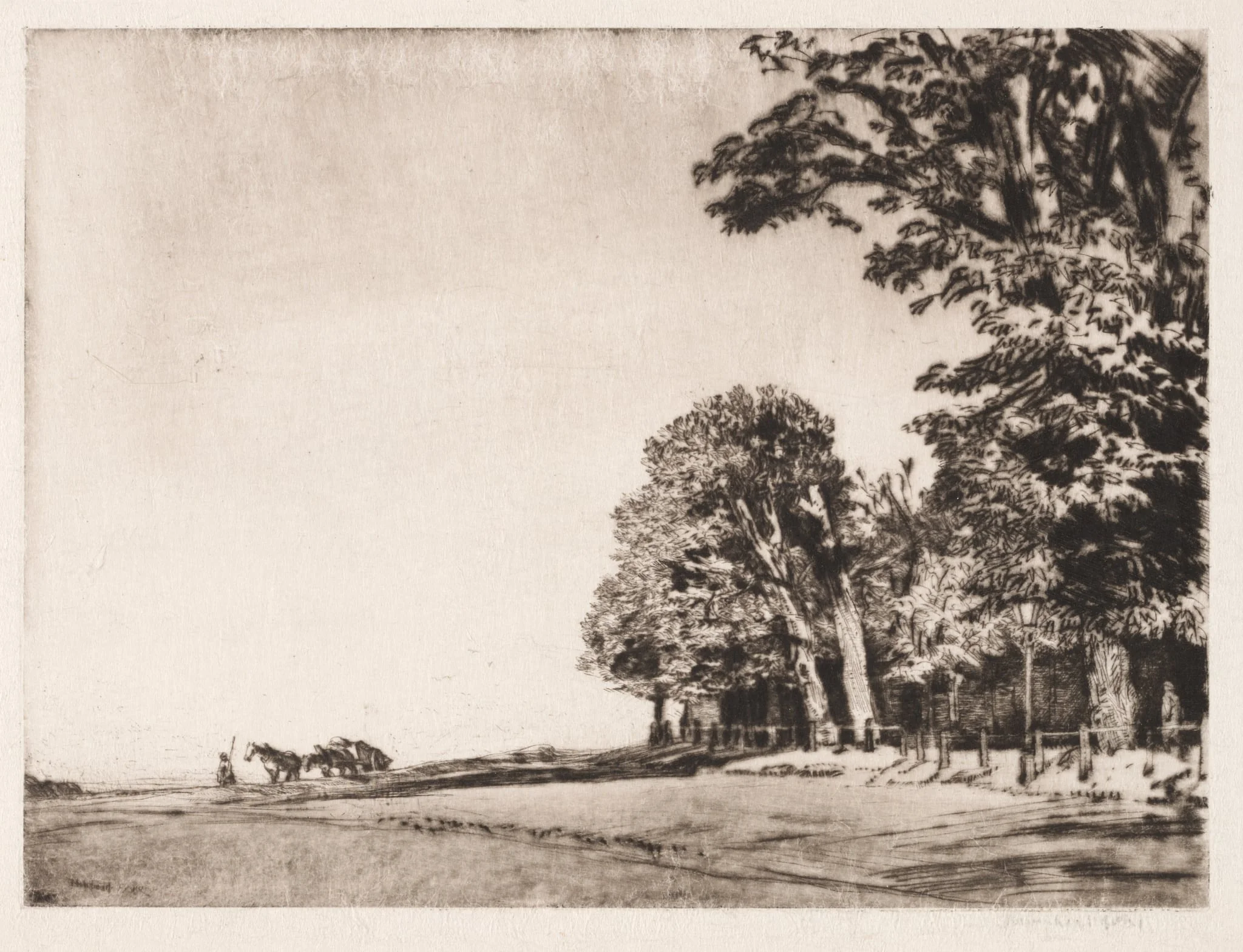 Hampstead Heath, by Muirhead Bone, 1906