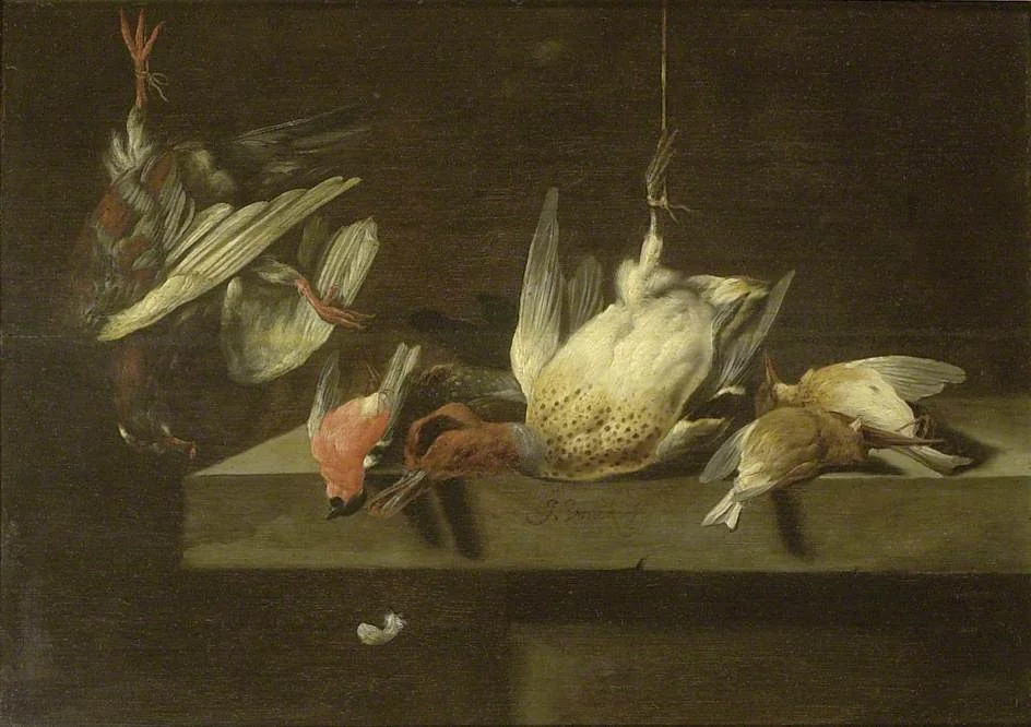 Still Life of dead Birds