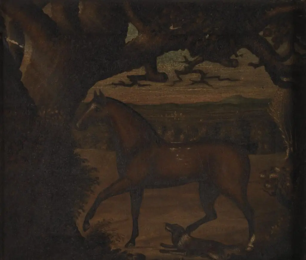 Horse and dog in landscape