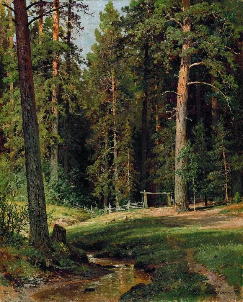 The Edge of the Forest