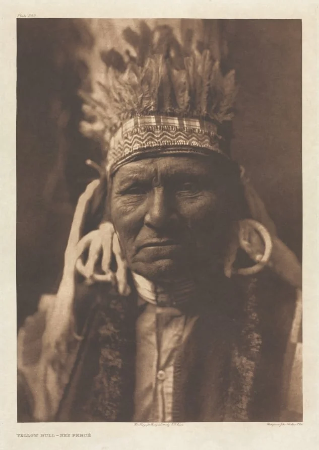 Portfolio VIII, Plate 257: Yellow Bull - Nez Percé, by Edward S. Curtis, 1905