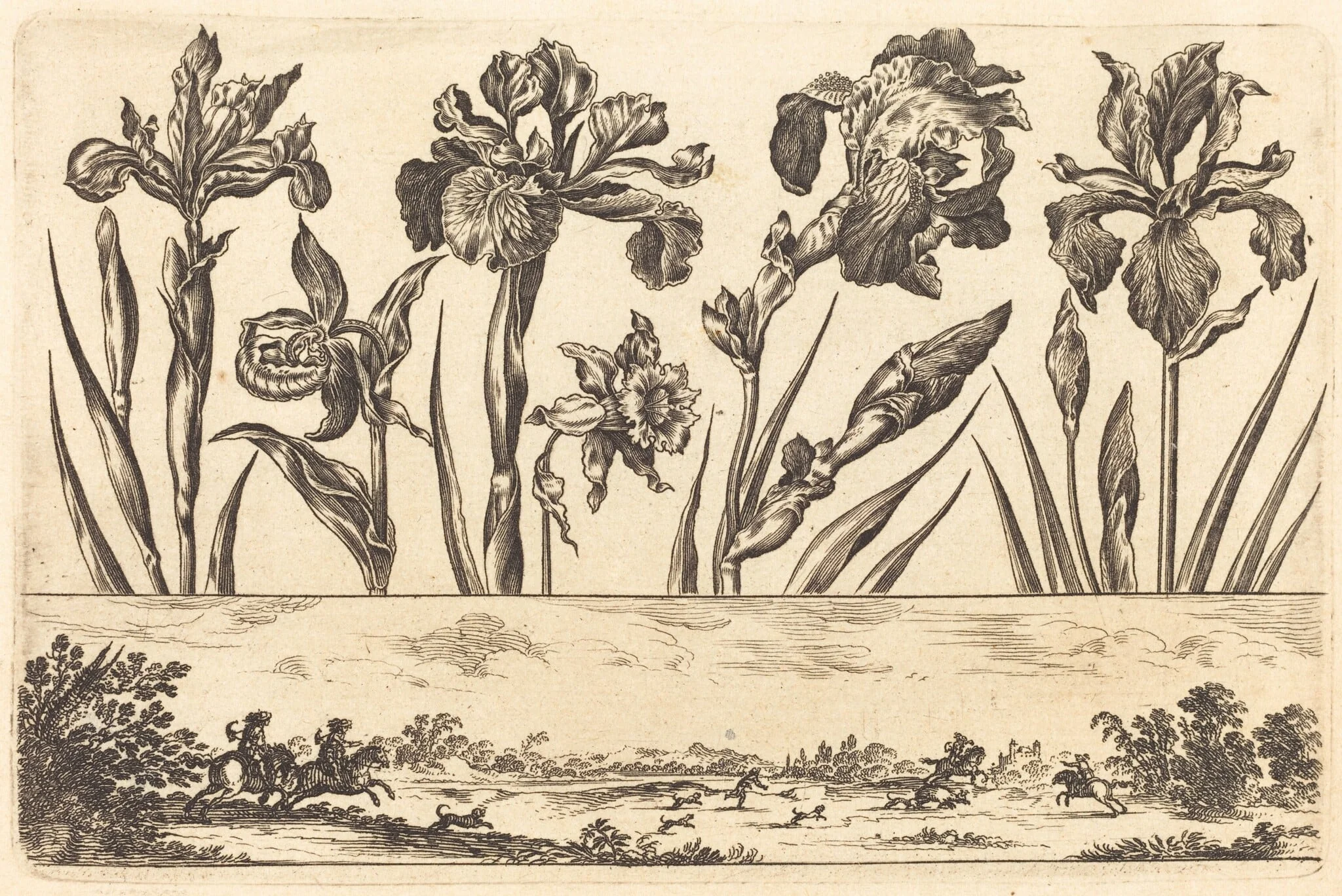 Flower Print no.3