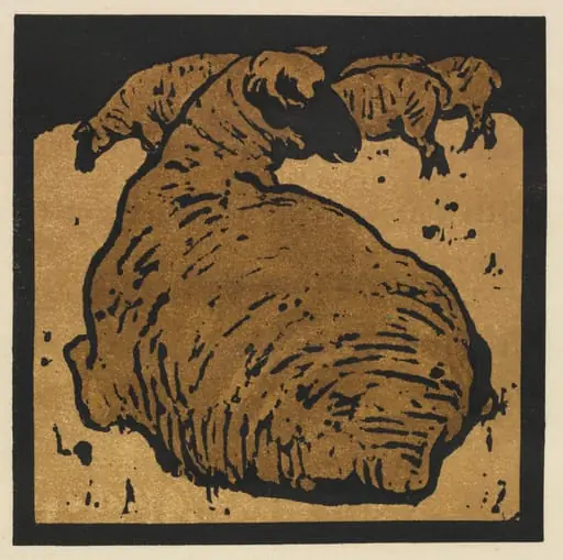 The Square Book of Animals: The Simple Sheep