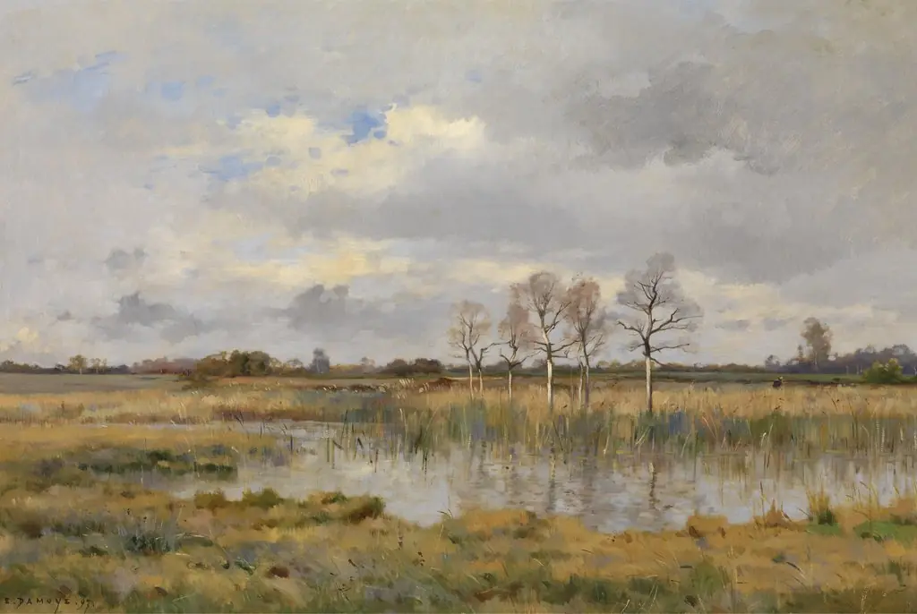 Marsh