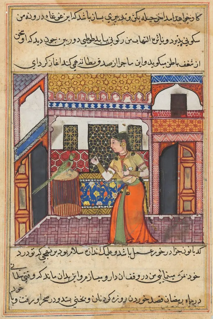 The parrot addresses Khujasta at the beginning of the forty-third night, from a Tuti-nama (Tales of a Parrot)