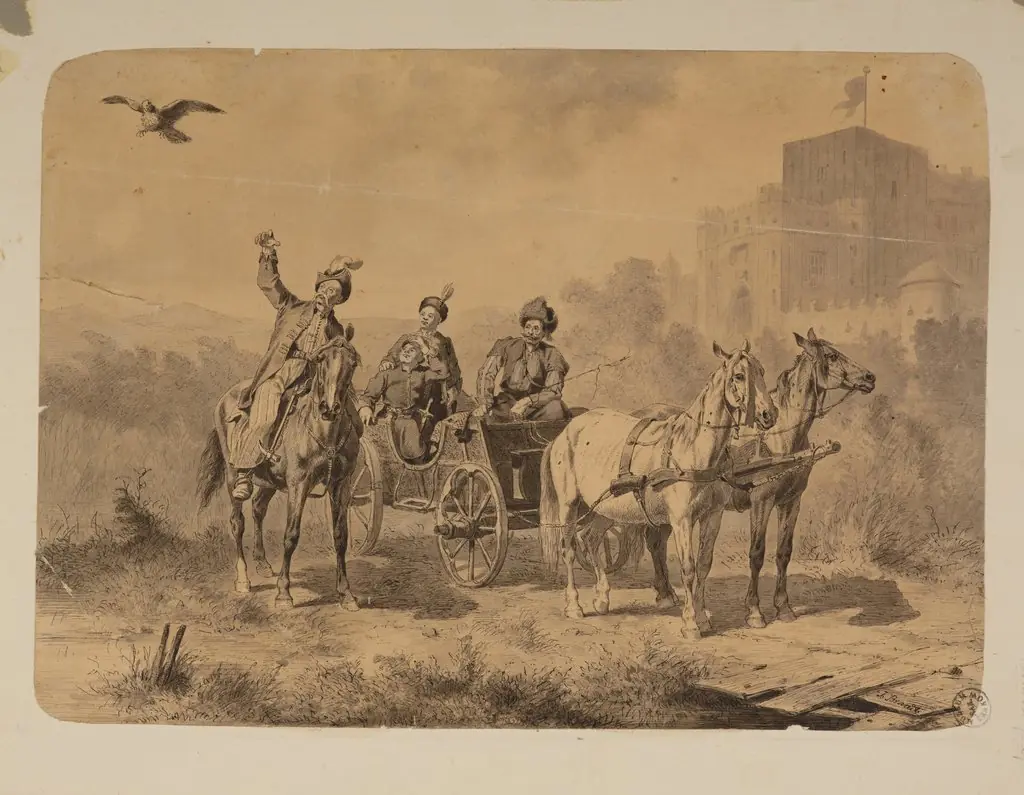 Hunt with a falcon