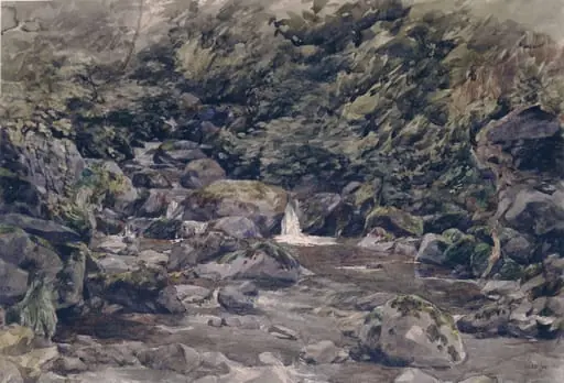 Mountain Stream with Trees