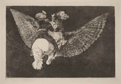 Disparate volante (Flying Folly)