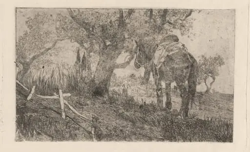 Horse at Midday (Cavallo a meriggio)