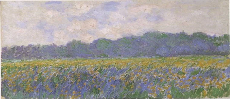 Field of Yellow Irises at Giverny
