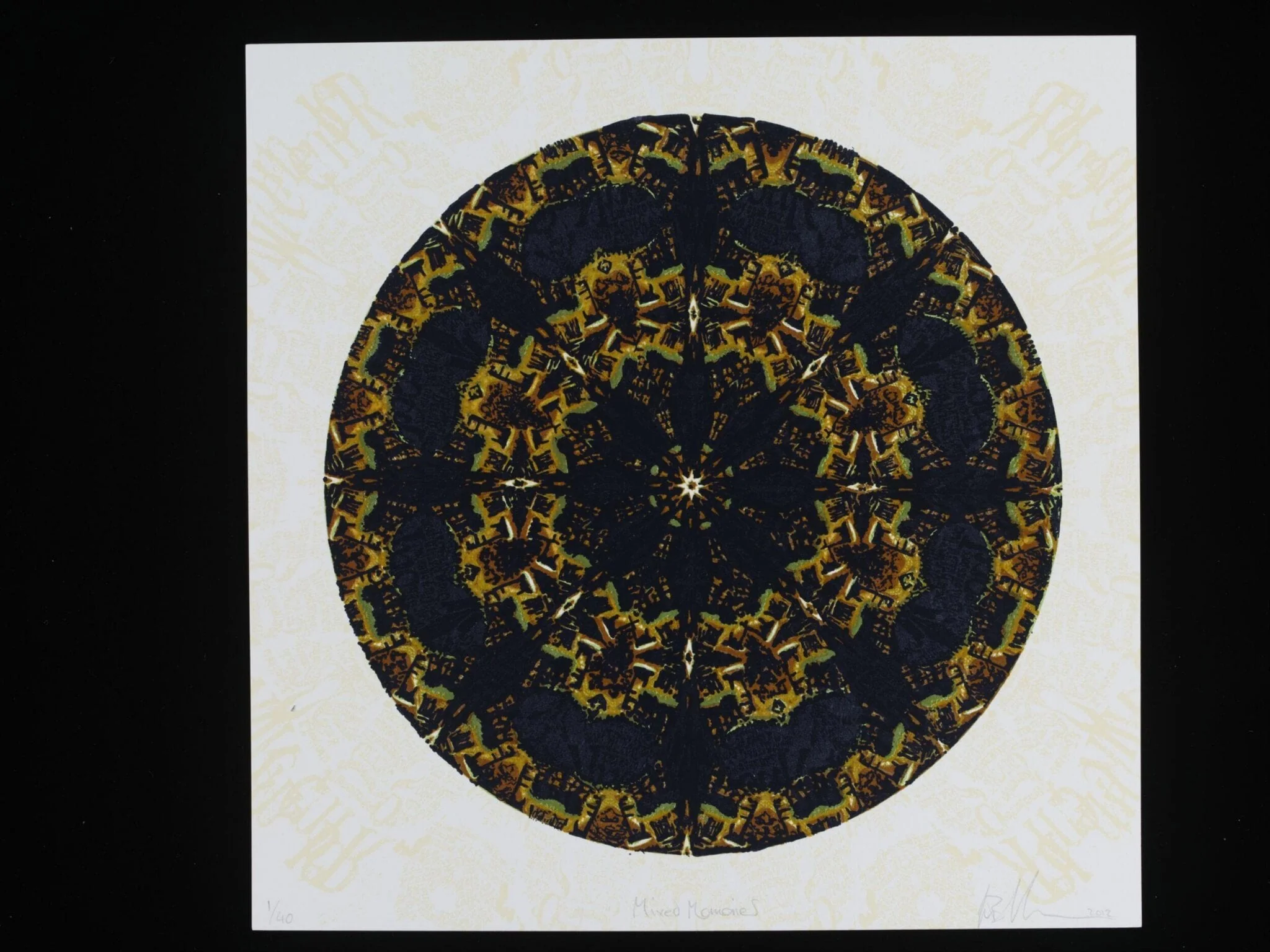 Mixed Memories, by Lynne Blackburn, 2012