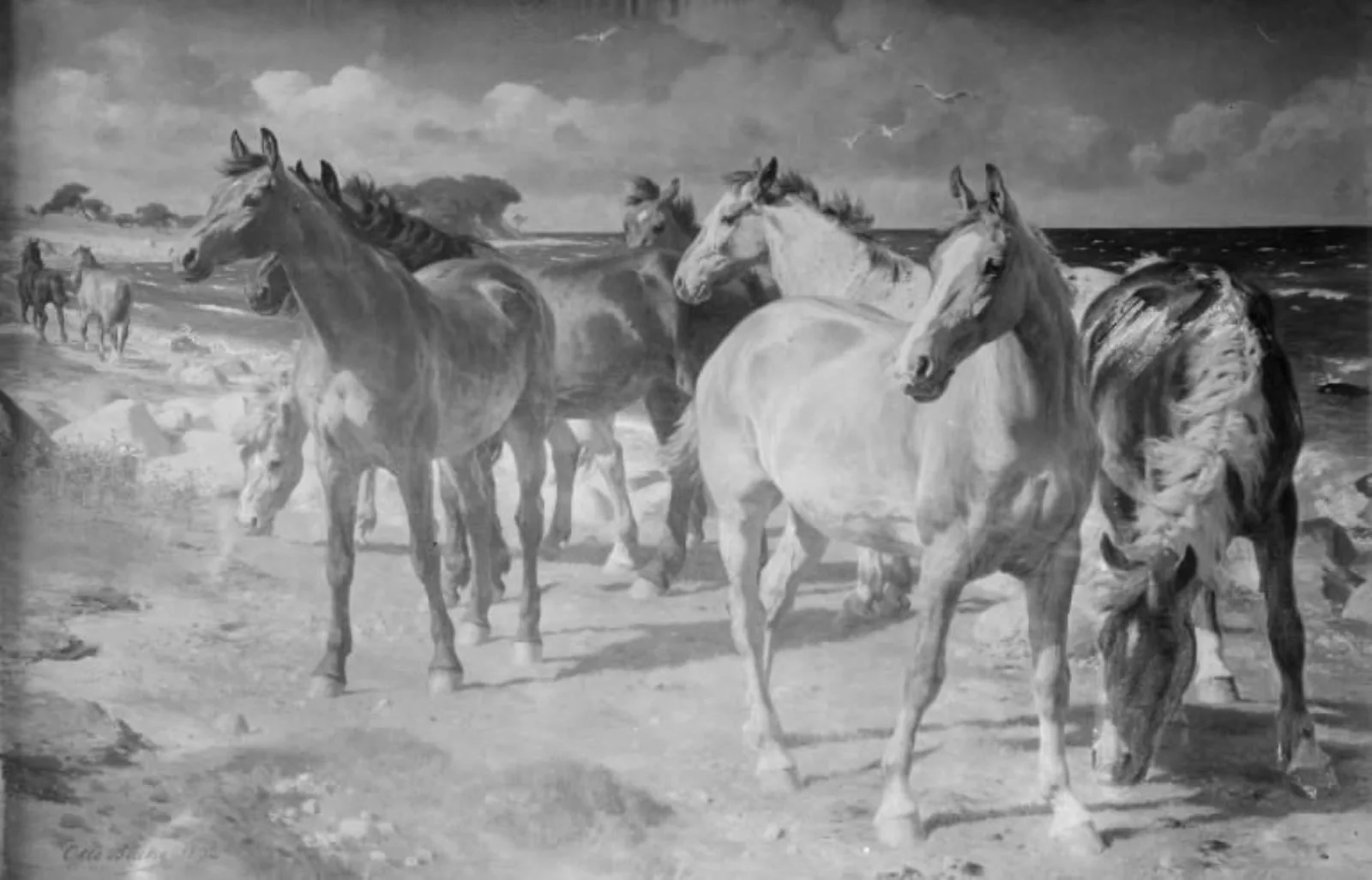 Heste ved stranden, by Unknown, 1892