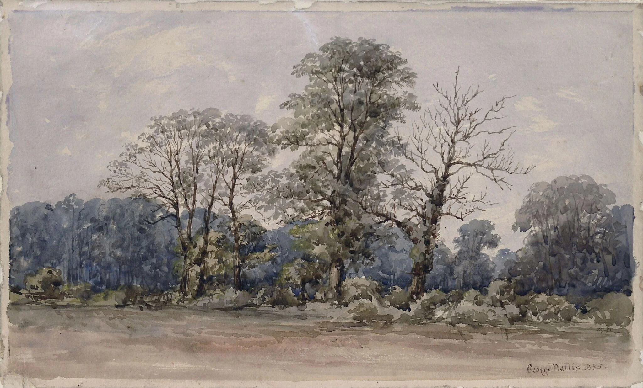 Trees at Perry Bar, near Birmingham