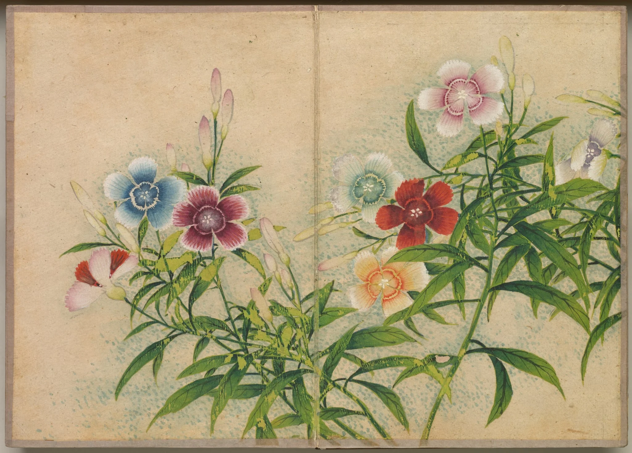 Desk Album: Flower and Bird Paintings (Pinks), by Zhang Ruoai, unspecified, 1704