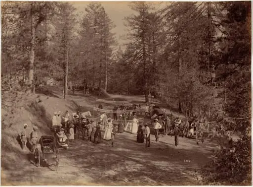 Badminton Party at Mashobra, Shimla