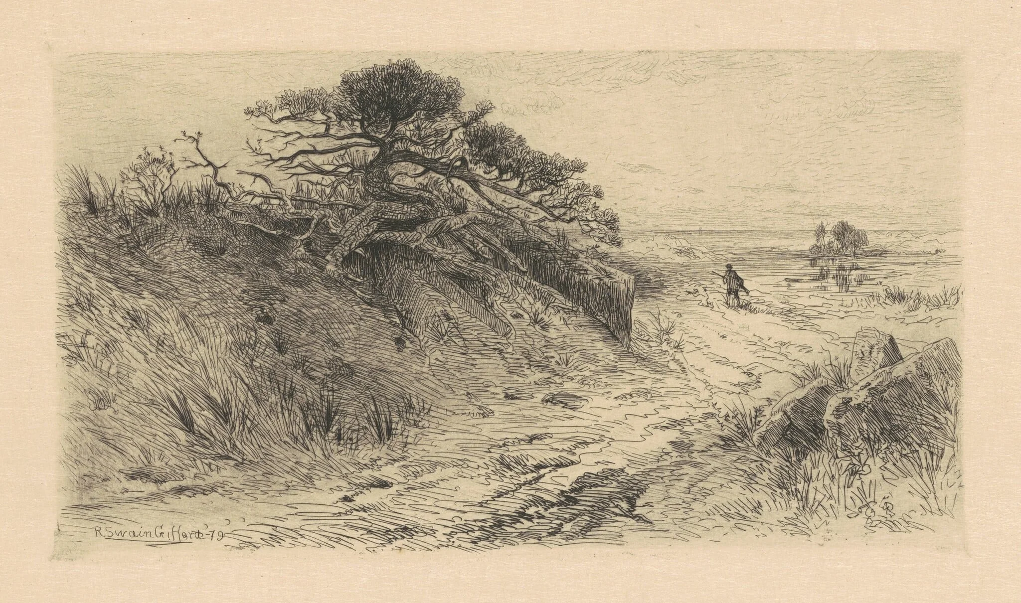 The Path to the Shore
