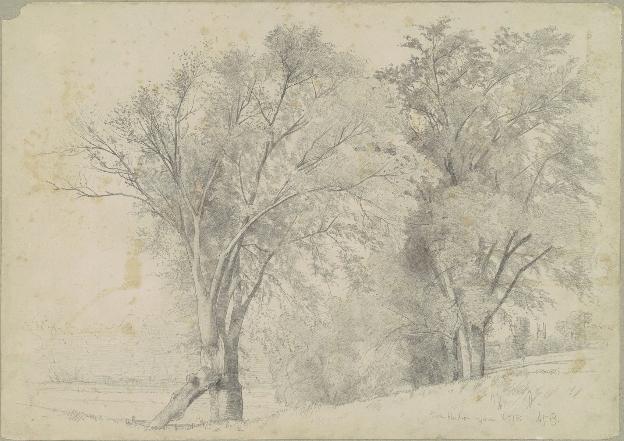 Elms, Hudson, by Andrew Fisher Bunner, graphite, 1866