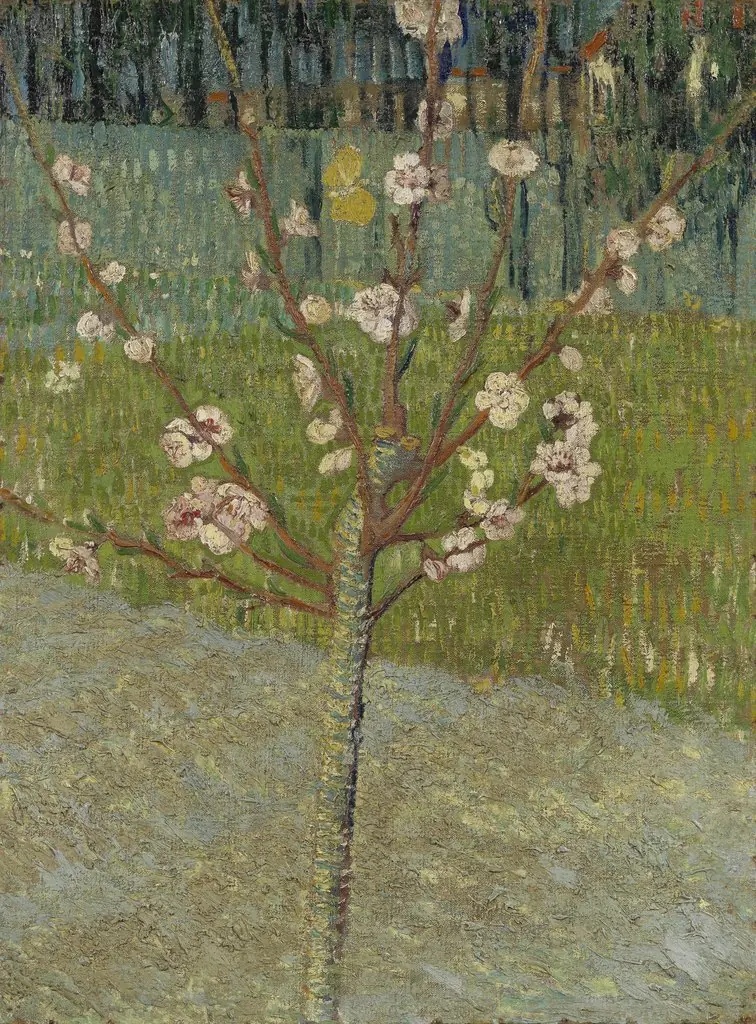 Peach Tree in Blossom