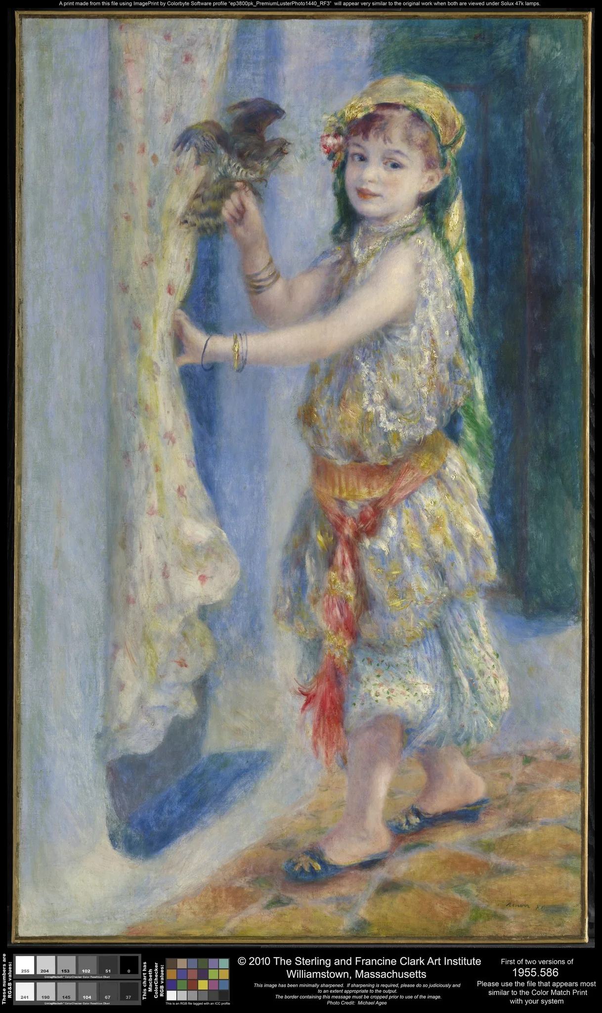 Child with a Bird (Mademoiselle Fleury in Algerian Costume), by Auguste Renoir, oil, 1892