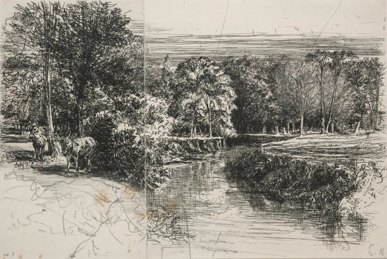 Dundrum River and the Two Asses, by Francis Seymour Haden, 1863