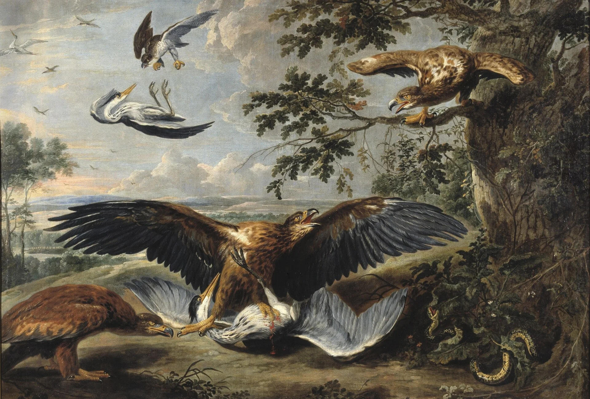 Fight between Eagles