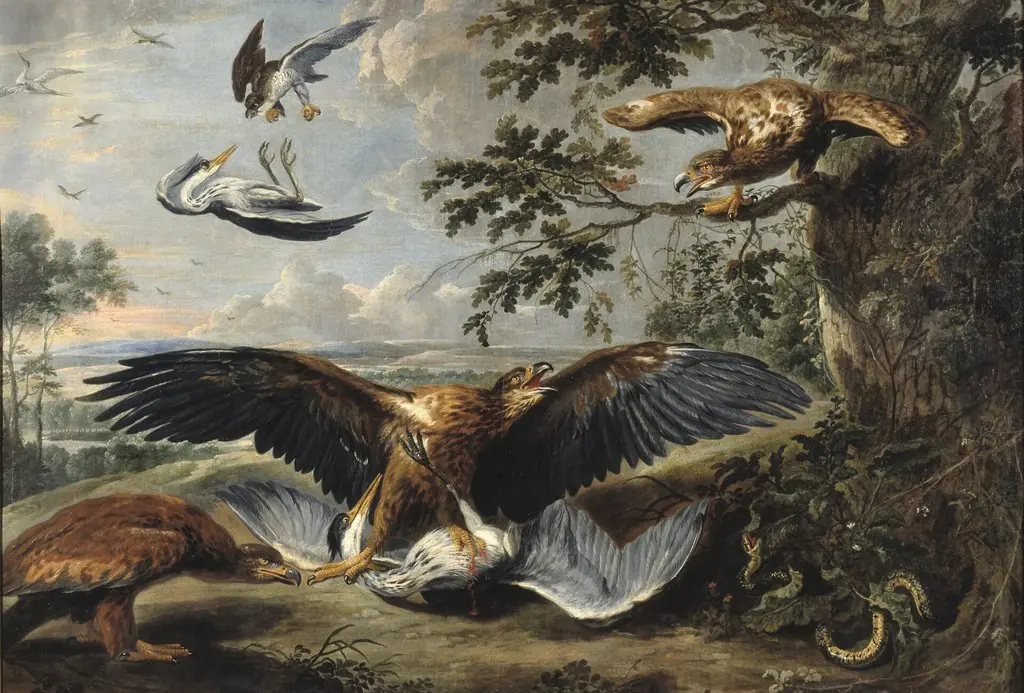 Fight between Eagles
