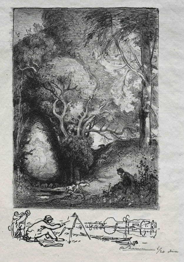 La Ravine en juin