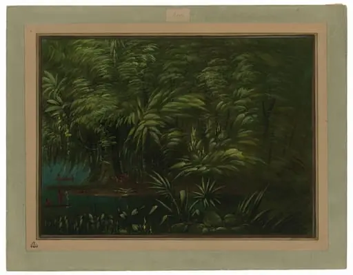 Luxuriant Forest on the Bank of the Amazon