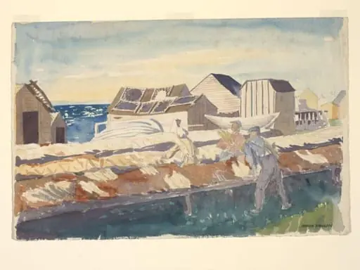 St Anthony's Harbour - A fish drying establishment with seal skins drying.