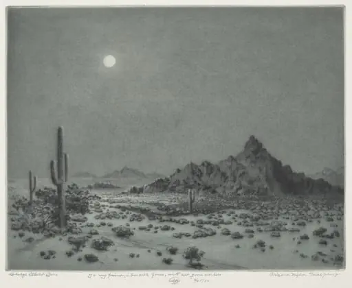 Arizona Night