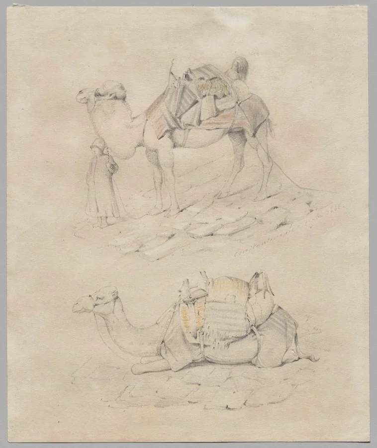 Study of Camels, by Unknown, 1848