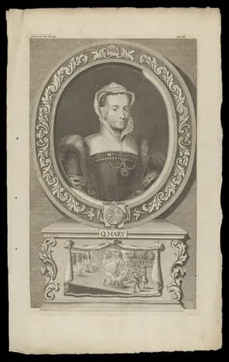 H Beard Print Collection