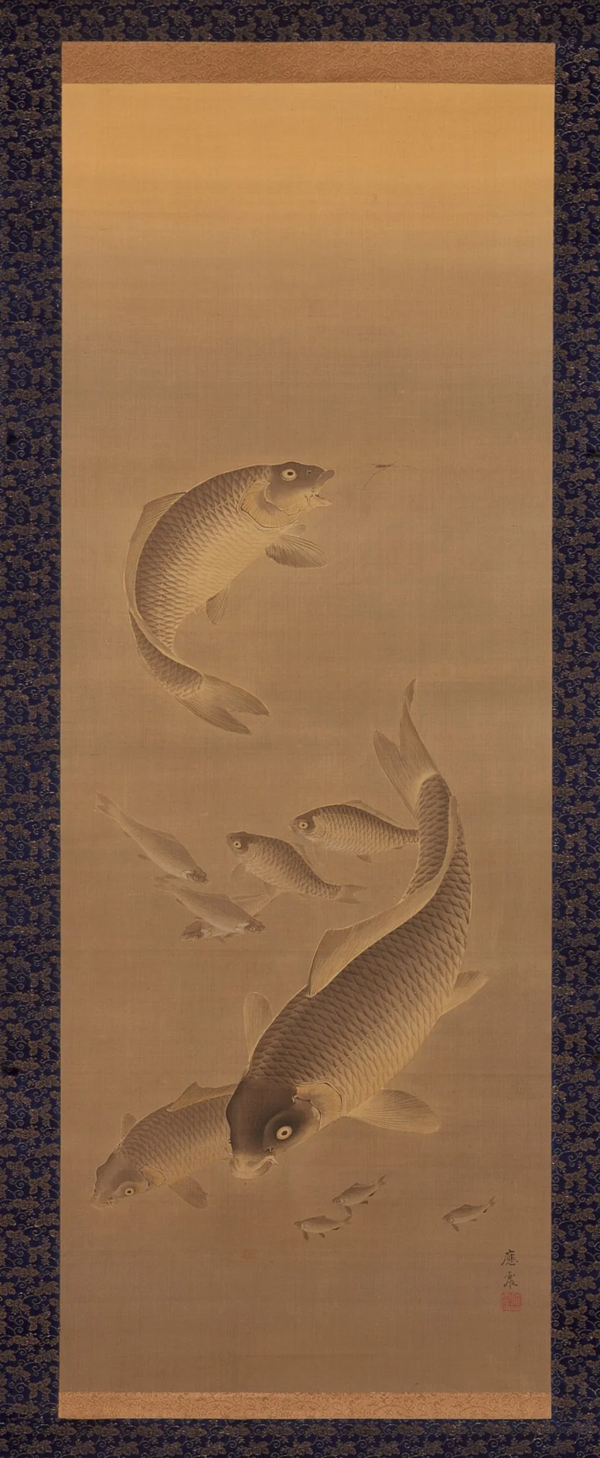 Carp