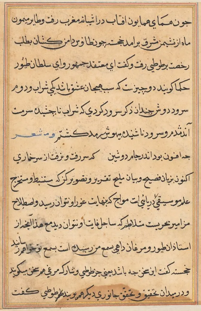 Page from Tales of a Parrot (Tuti-nama): text page