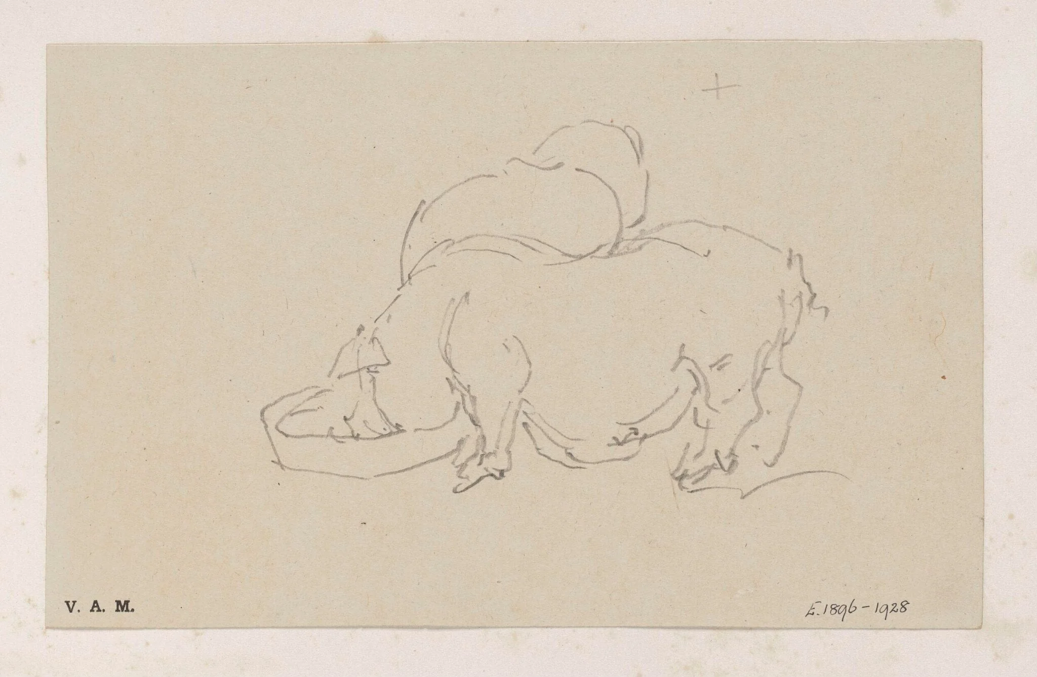 Two pigs, by George Chinnery, 19