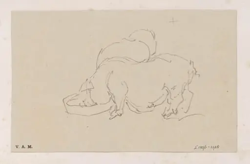 Two pigs