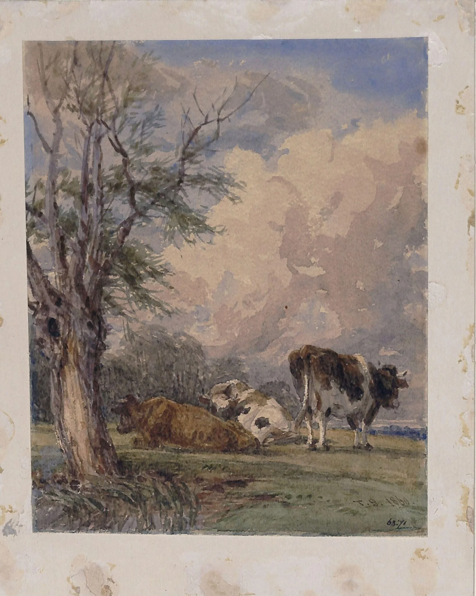 A Study of Cattle, by Thomas Baker, watercolor, 1860