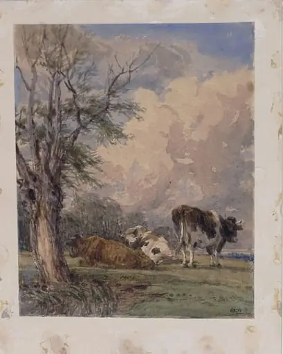 A Study of Cattle