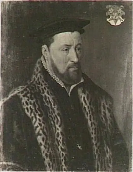 Portrait of Adriaan van Blyenburg (1510-1573)