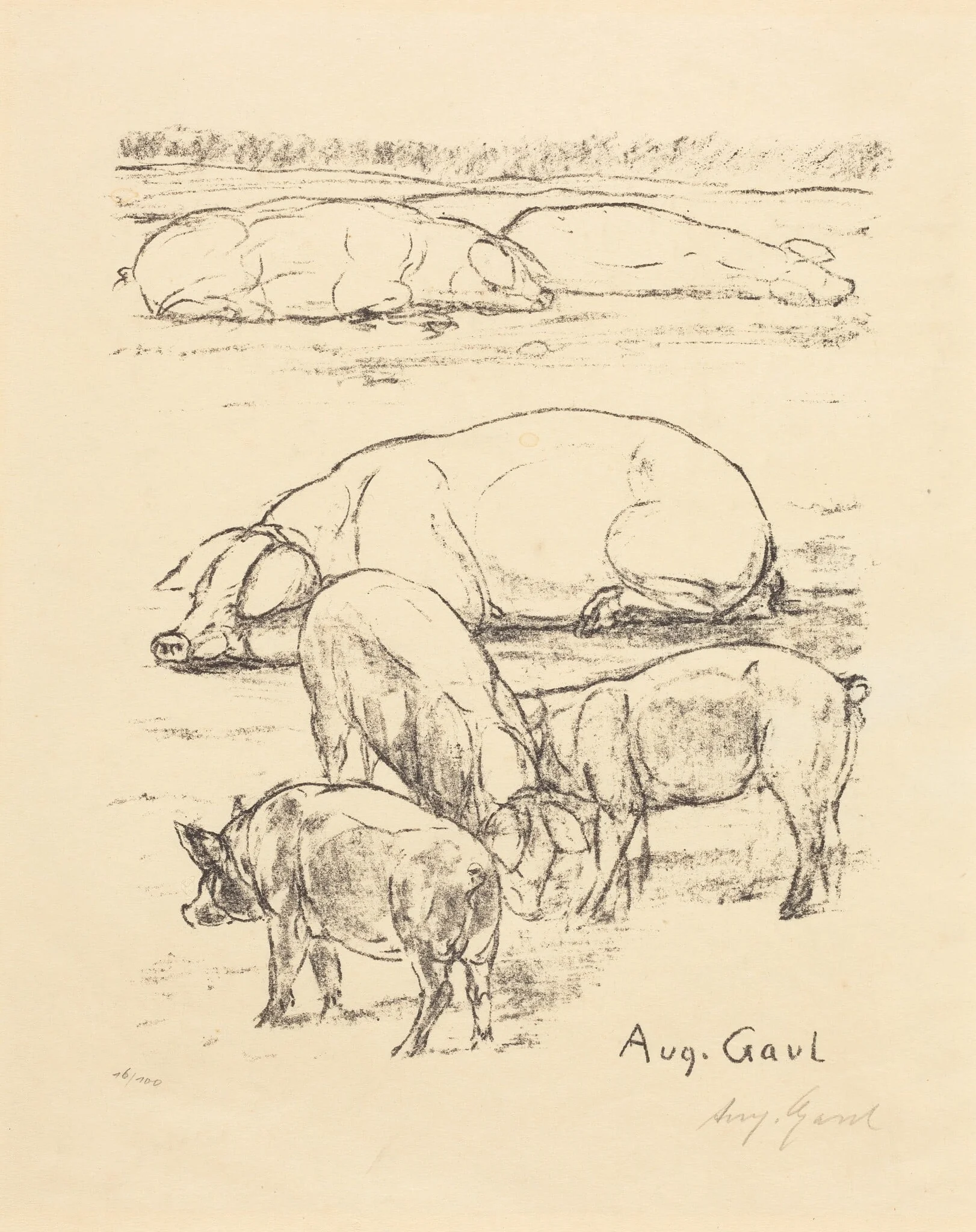 Pigs, by August Gaul, ink, 1895