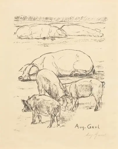 Pigs