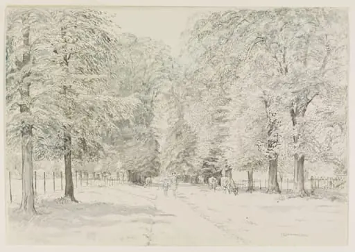 Petersham Avenue - looking towards Ham House