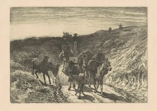 The Burrow Train, New Mexico