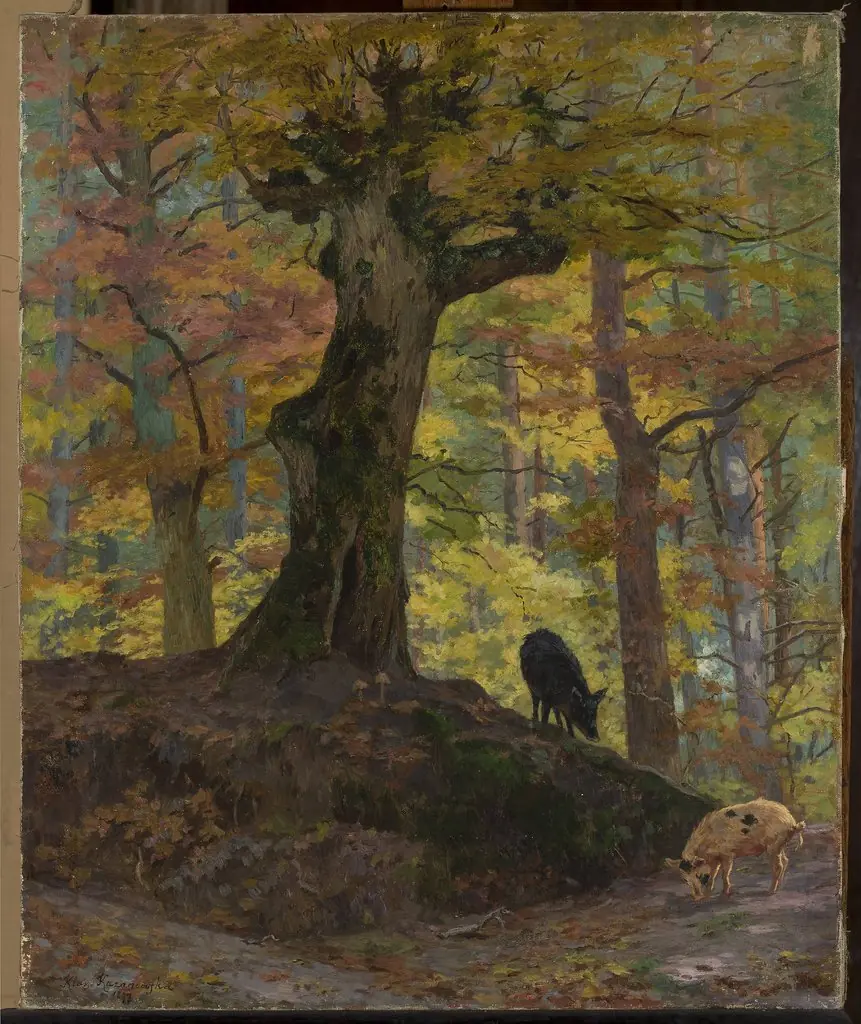 Wild pigs in the forest