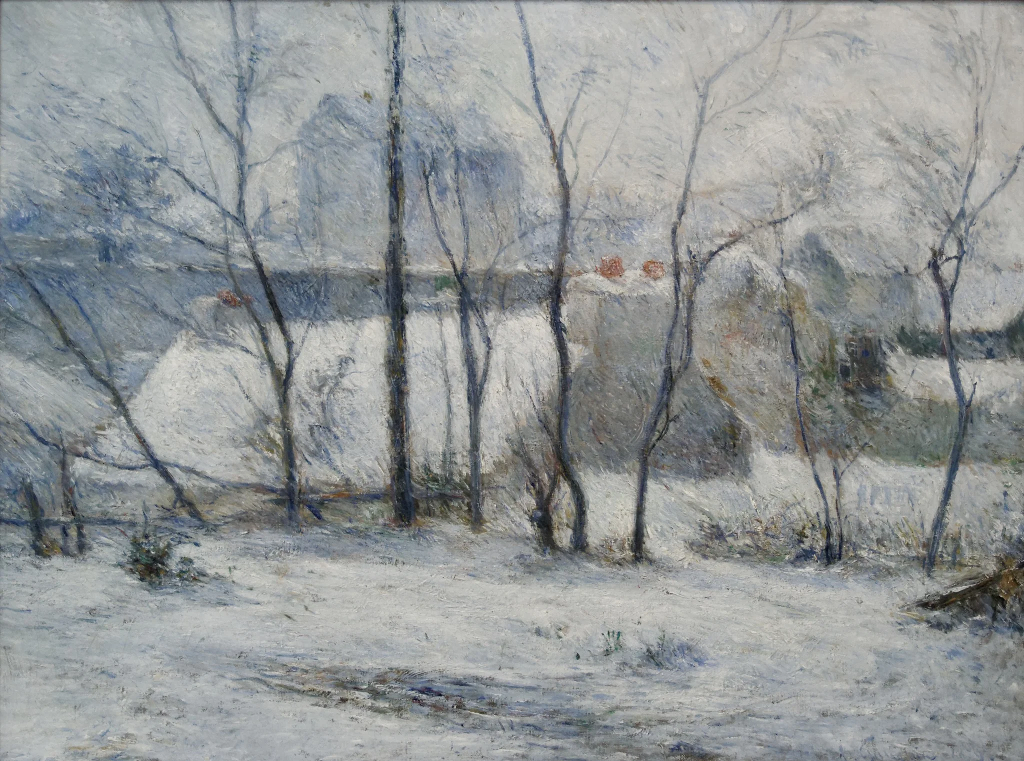 Garden under Snow