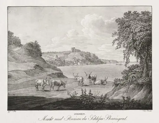 Syrmien, Markt und Ruinen des Schlosses Sharengrad