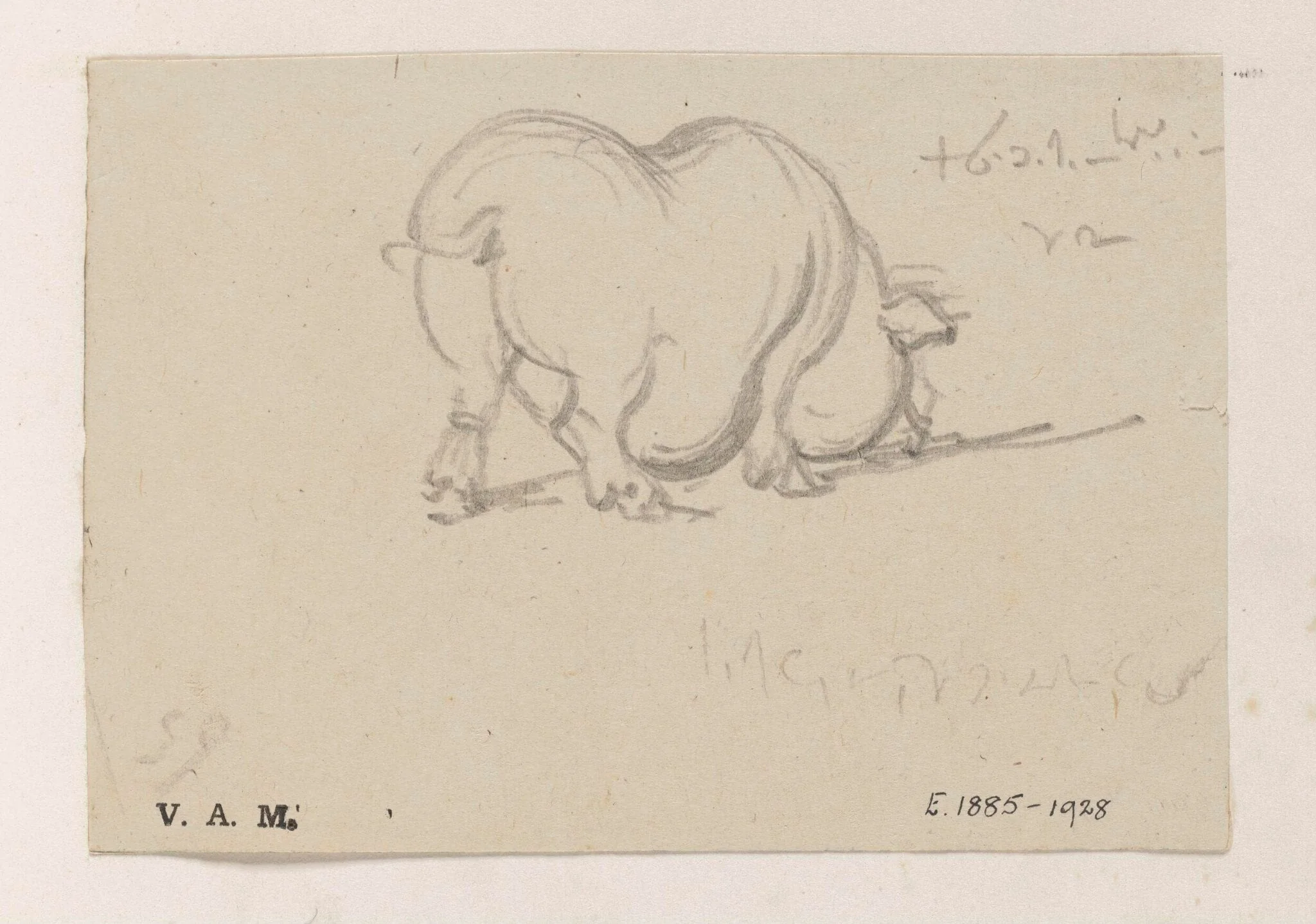 A study of a pig, by George Chinnery, 19